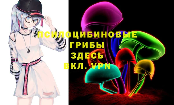 PSILOCYBIN Арсеньев