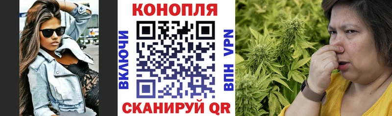 Канабис сатива  магазин  наркотиков  гидра ONION  Суровикино 